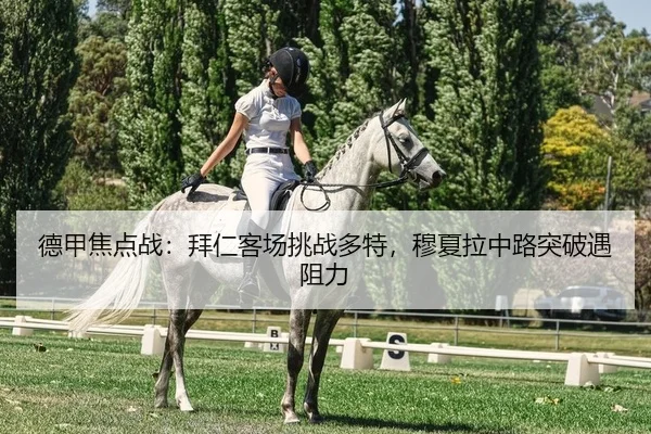 德甲焦点战：拜仁客场挑战多特，穆夏拉中路突破遇阻力