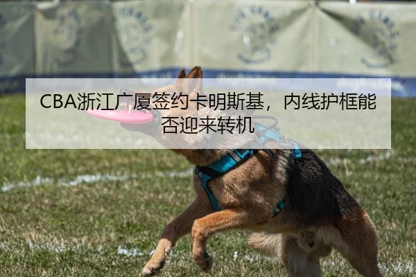 CBA浙江广厦签约卡明斯基，内线护框能否迎来转机